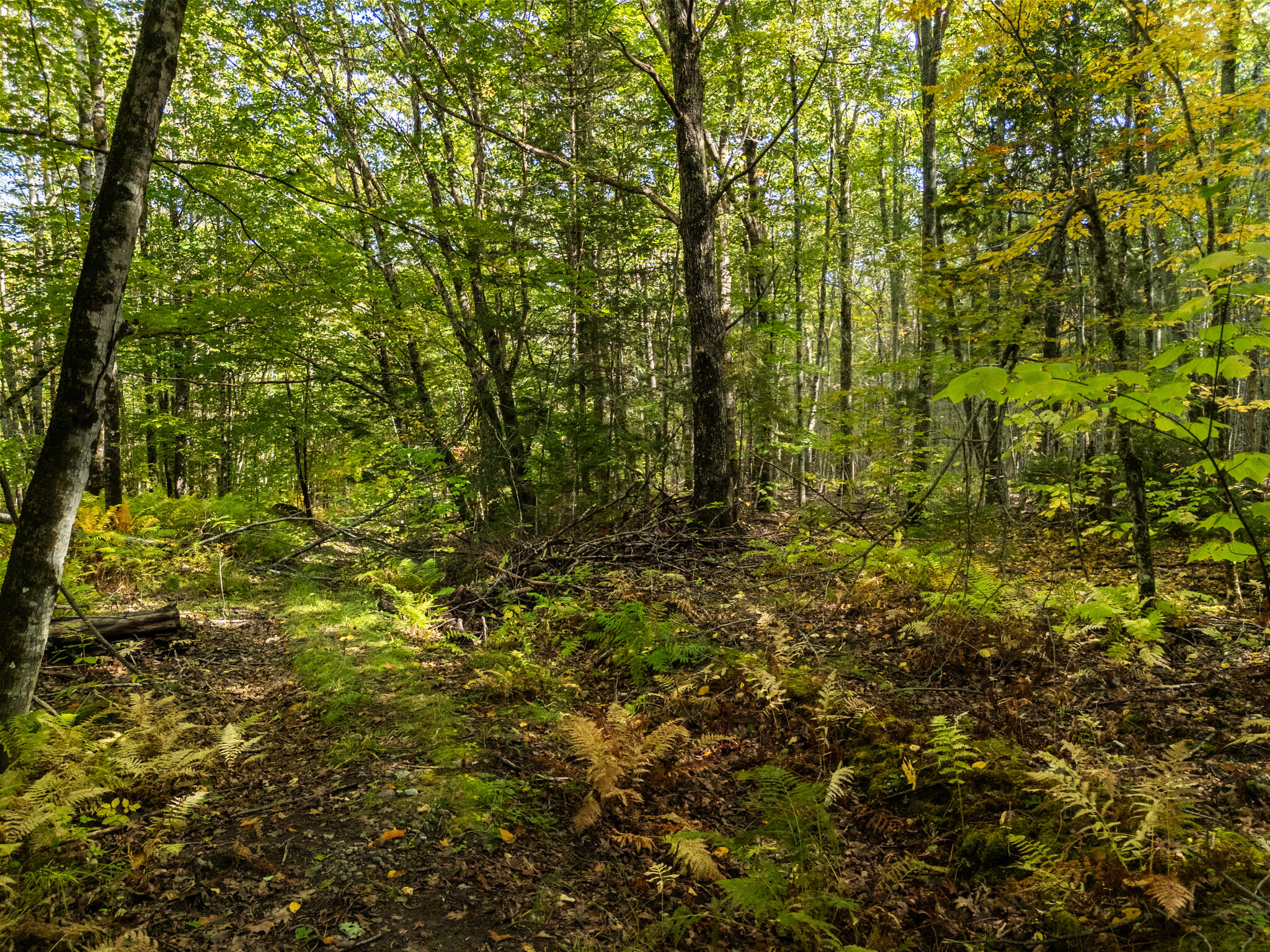 Lot #3 Millay Lane Union ME 04862