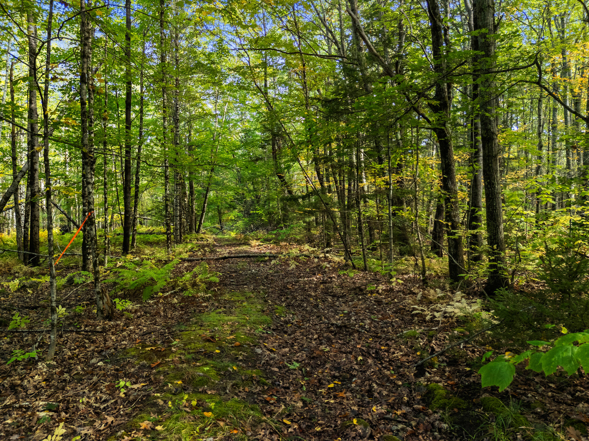 Lot #3 Millay Lane Union ME 04862