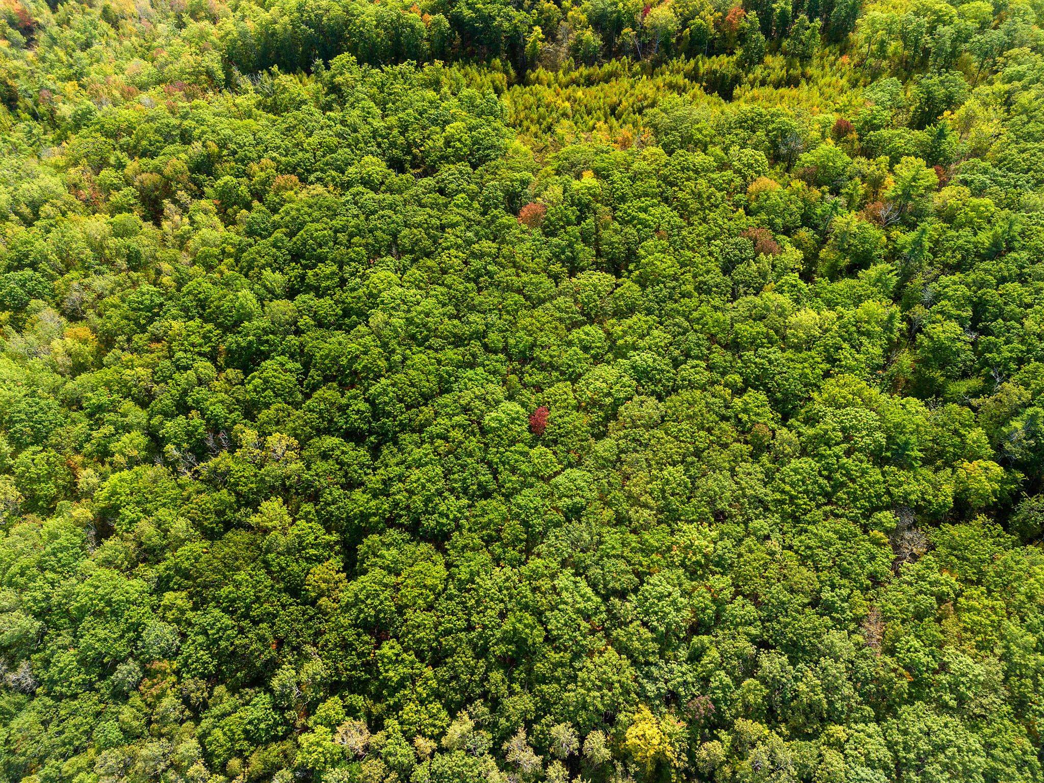 Lot #3 Millay Lane Union ME 04862