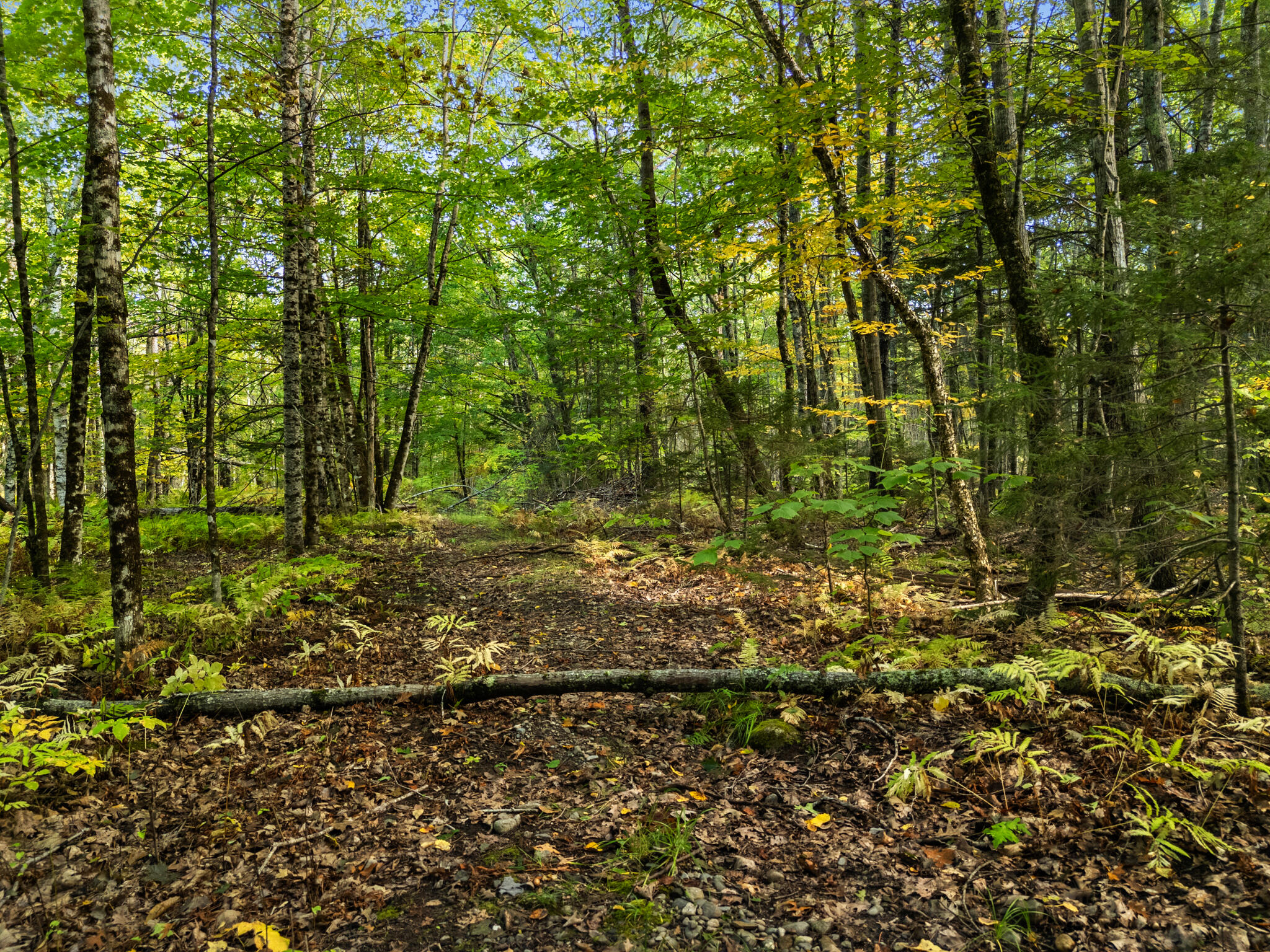 Lot #3 Millay Lane Union ME 04862