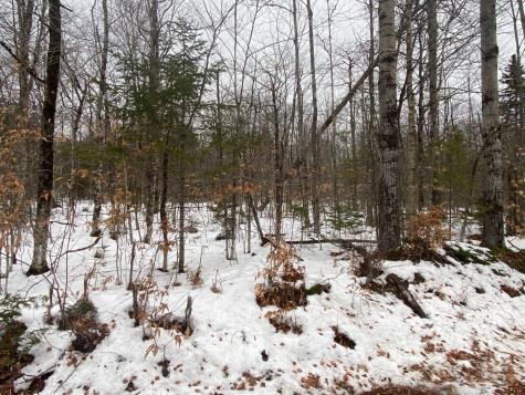 7-6 Elliotsville Road Monson ME 04464