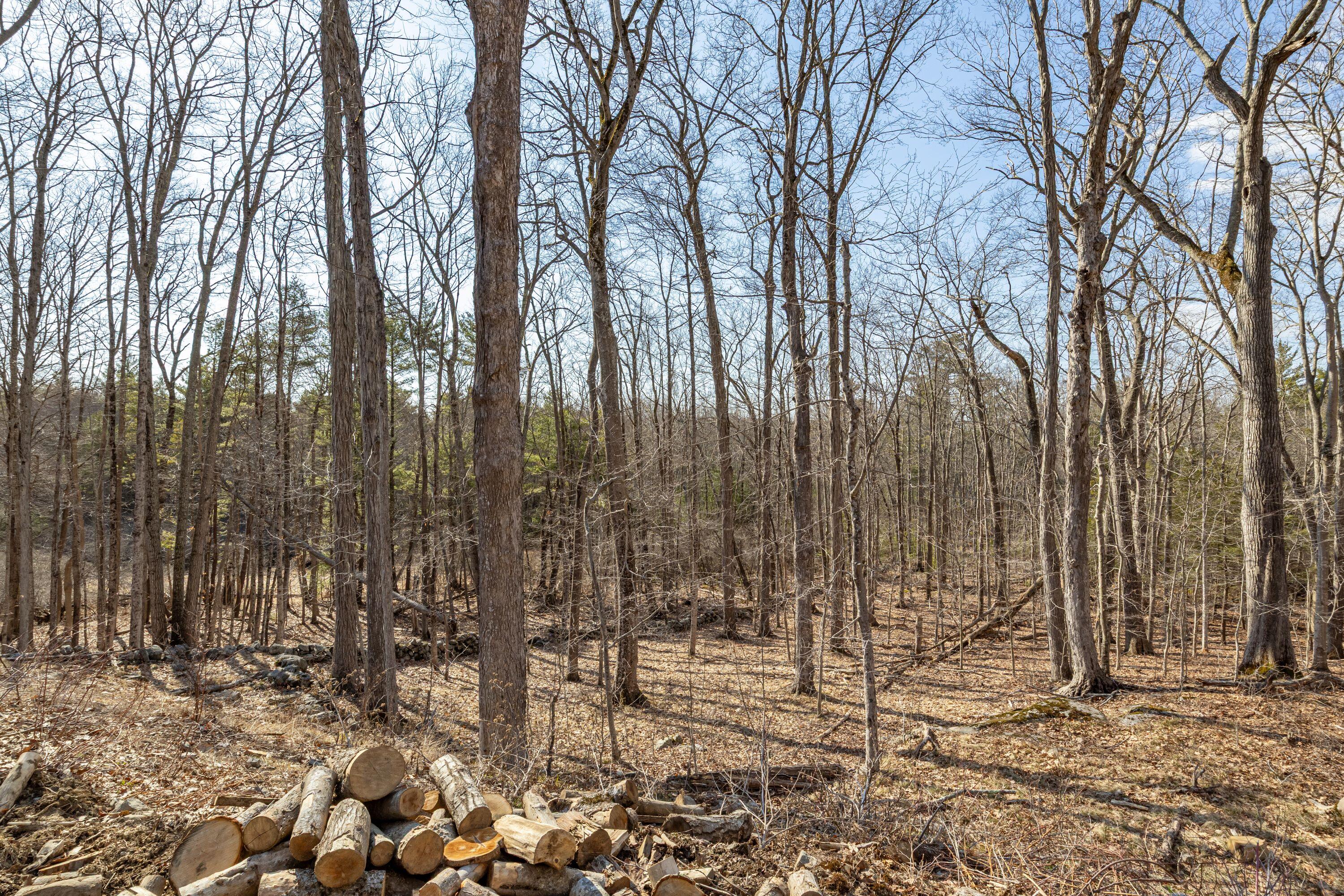 Lot #5 Brown Freehold Road York ME 03909