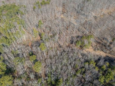 Lot #5 Brown Freehold Road York ME 03909