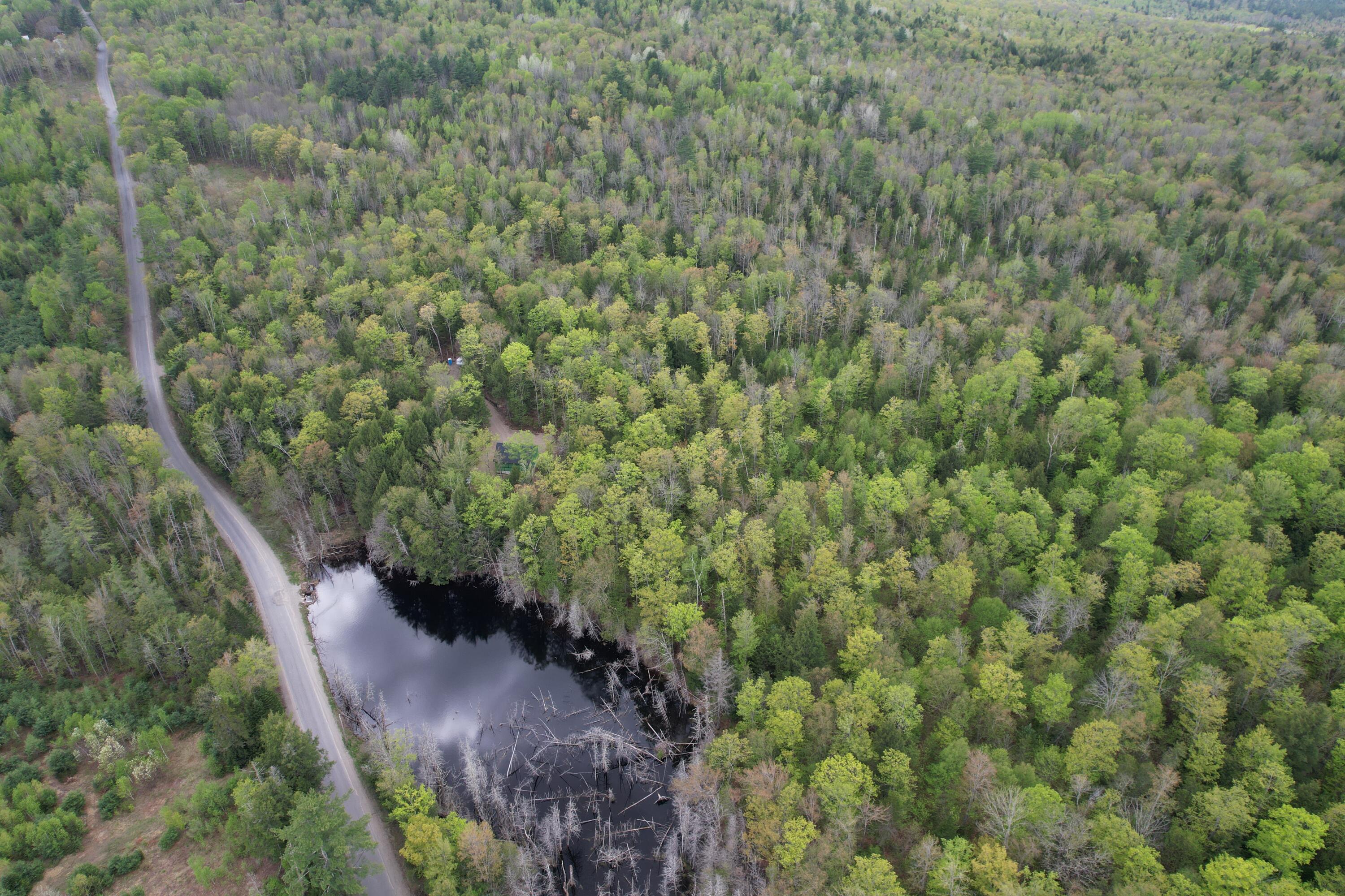 Lot 2 Freeman Ridge Road New Portland ME 04961