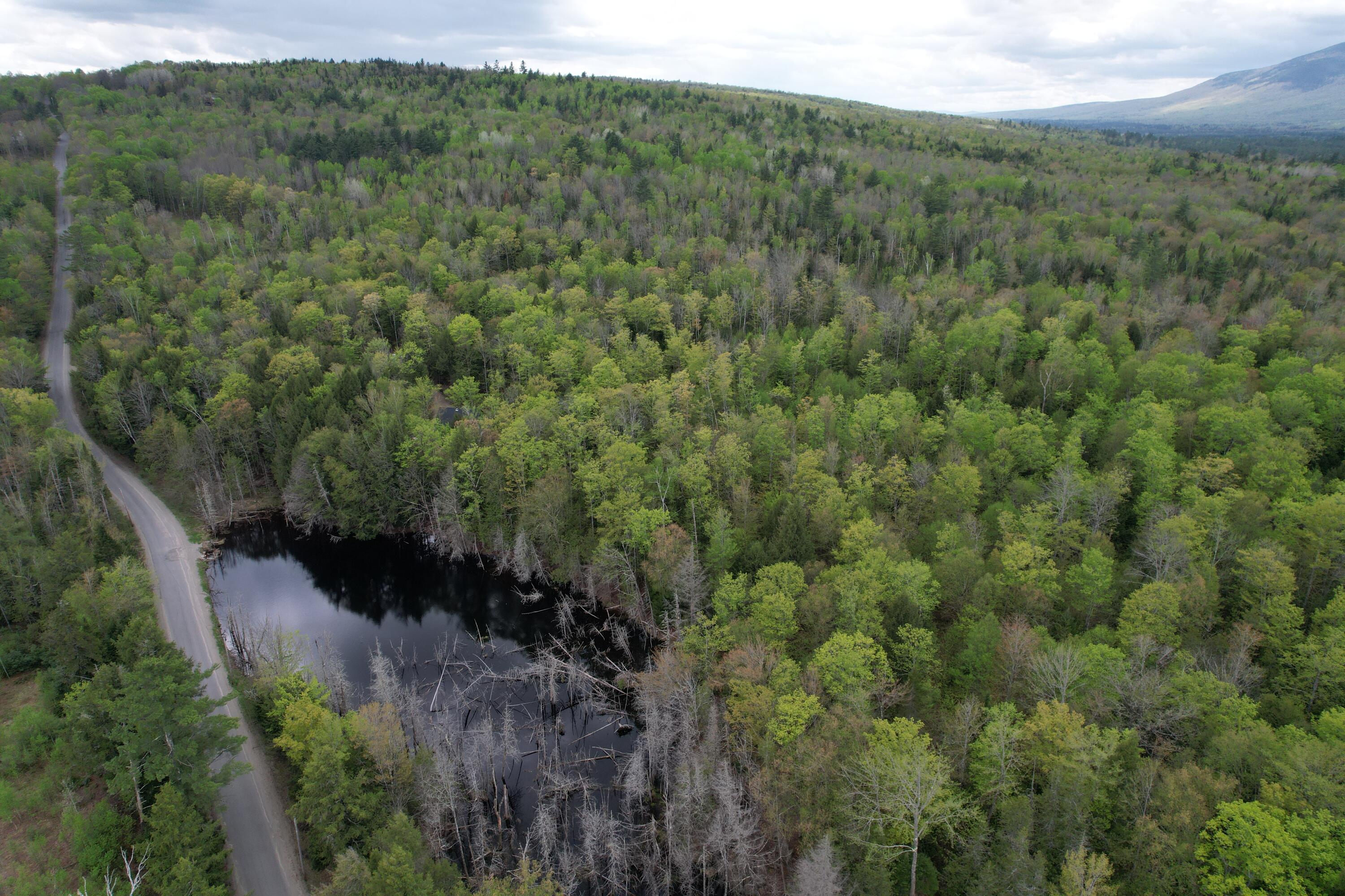 Lot 2 Freeman Ridge Road New Portland ME 04961