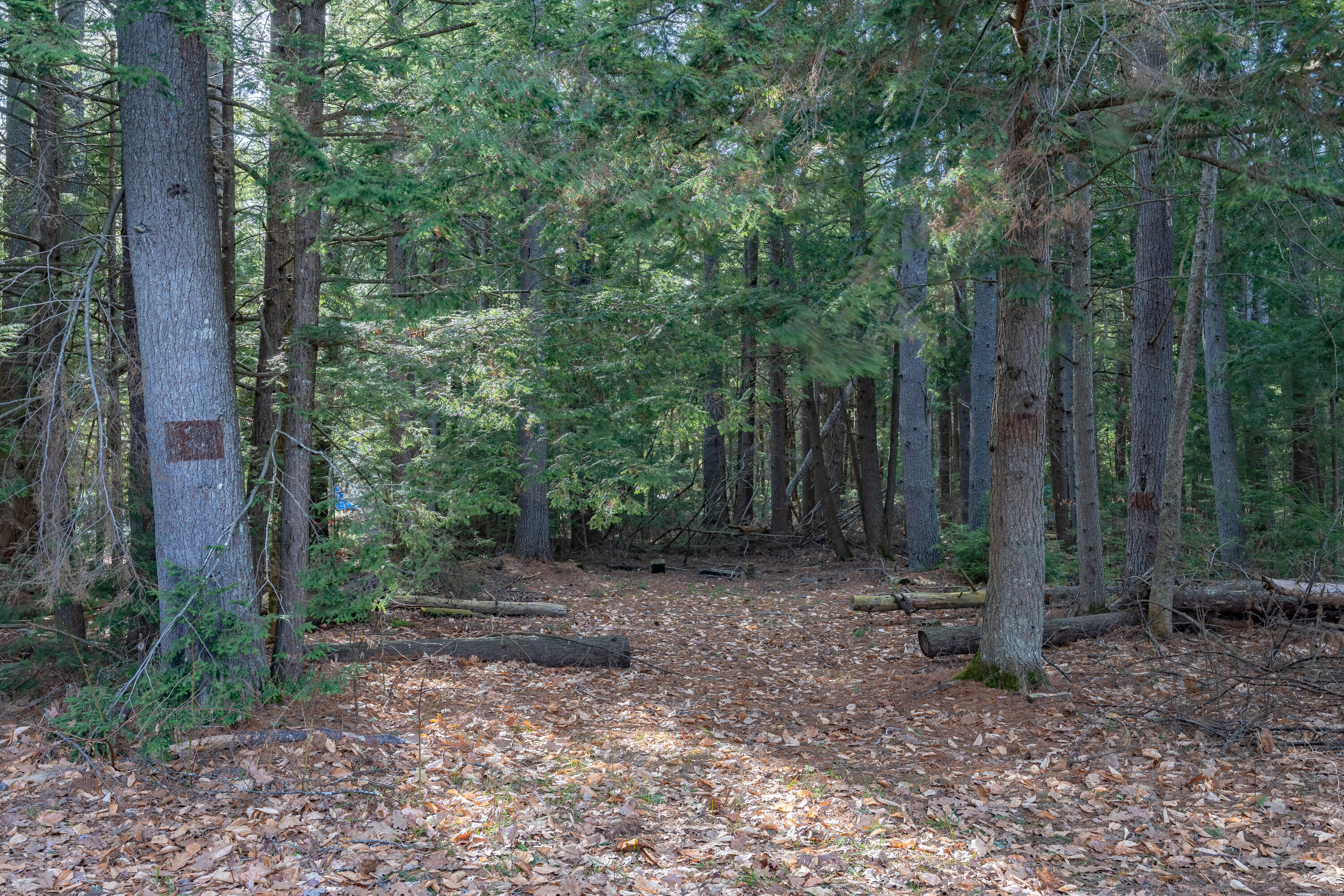 U03-049 Pine Point Road Oxford ME 04270