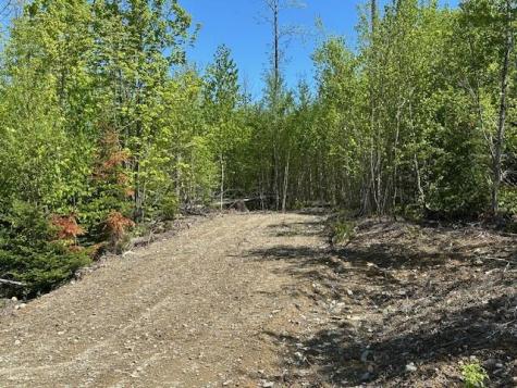 Lot 5 Mt. Jefferson Heights Lee ME 04455