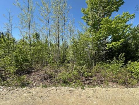 Lot 5 Mt. Jefferson Heights Lee ME 04455