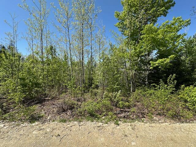 Lot 5 Mt. Jefferson Heights Lee ME 04455