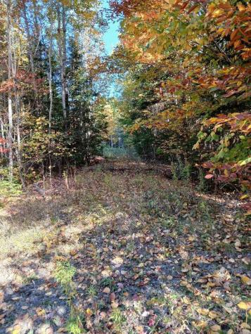 Lot 85 Woodland Ridge Road Danforth ME 04424