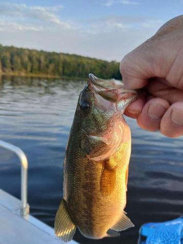 Lot 85 Woodland Ridge Road Danforth ME 04424