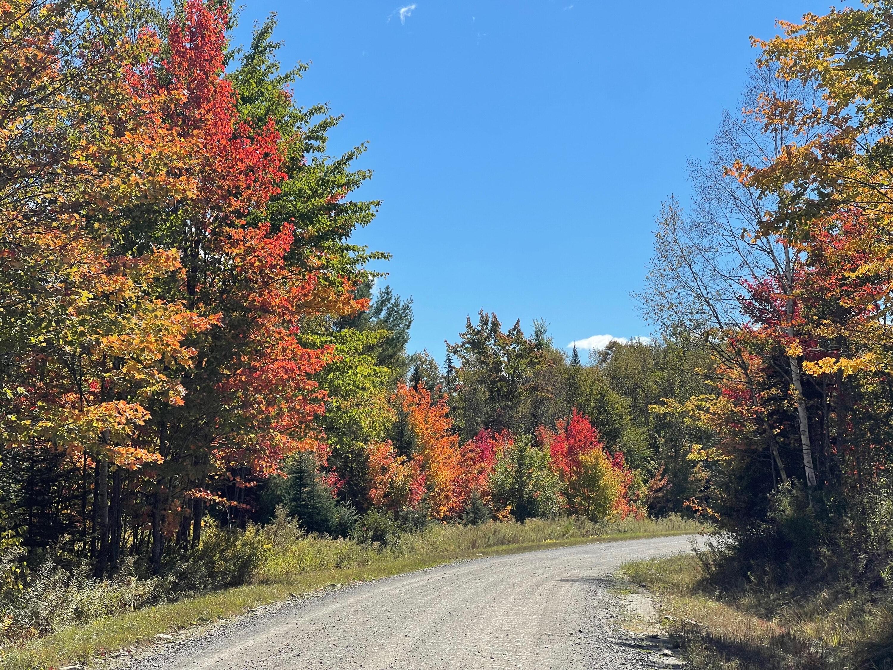 00 Paradise Lane Tomhegan Twp ME 04478