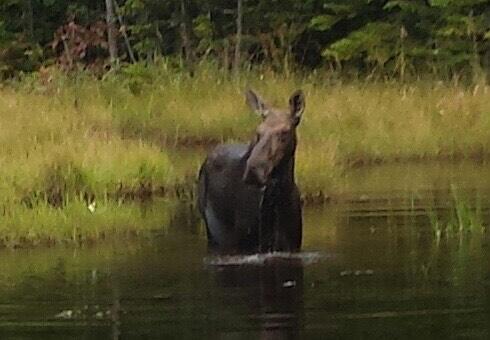 00 Paradise Lane Tomhegan Twp ME 04478