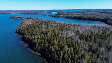 9 Raft Cove Road Trescott Twp ME 04652