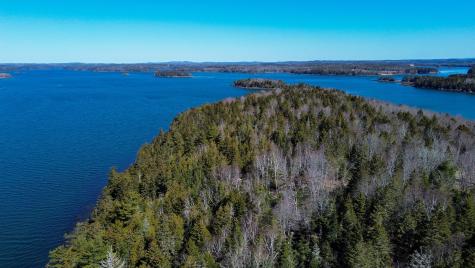 9 Raft Cove Road Trescott Twp ME 04652