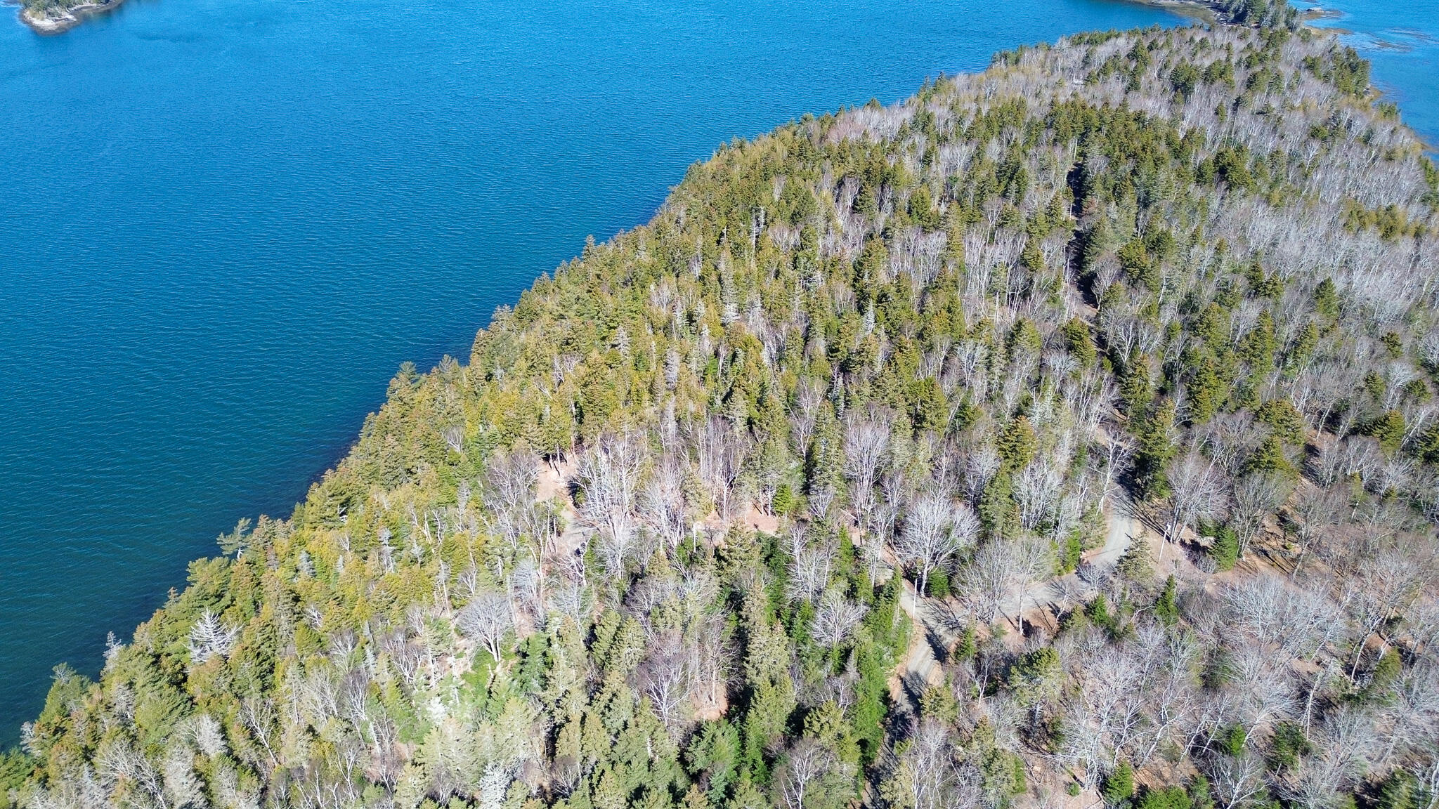 9 Raft Cove Road Trescott Twp ME 04652
