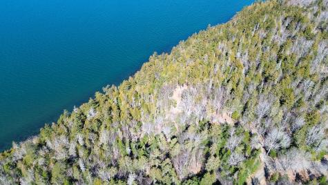 9 Raft Cove Road Trescott Twp ME 04652