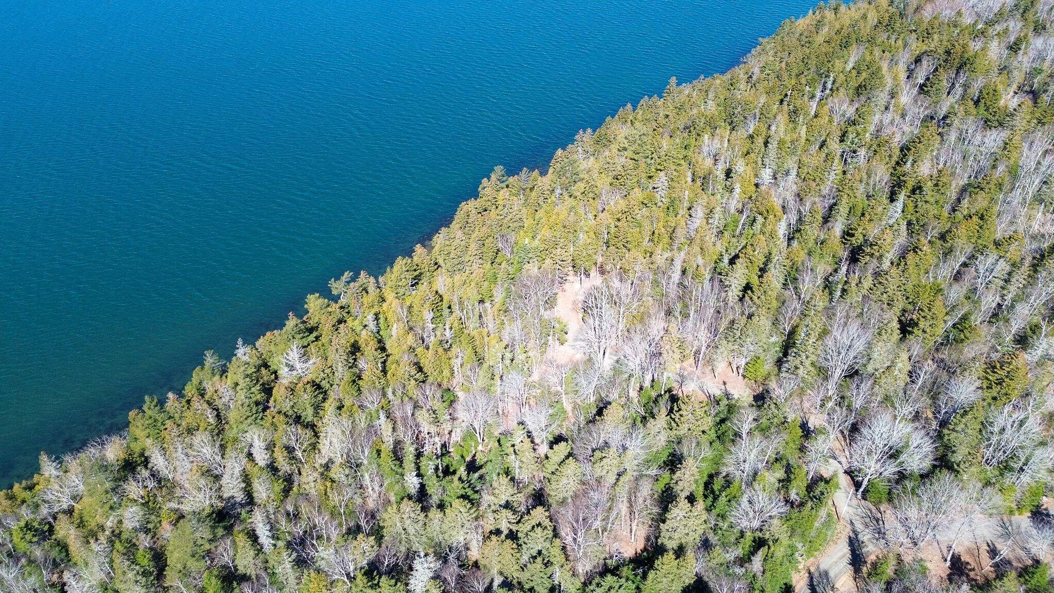 9 Raft Cove Road Trescott Twp ME 04652