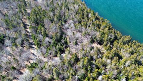 9 Raft Cove Road Trescott Twp ME 04652