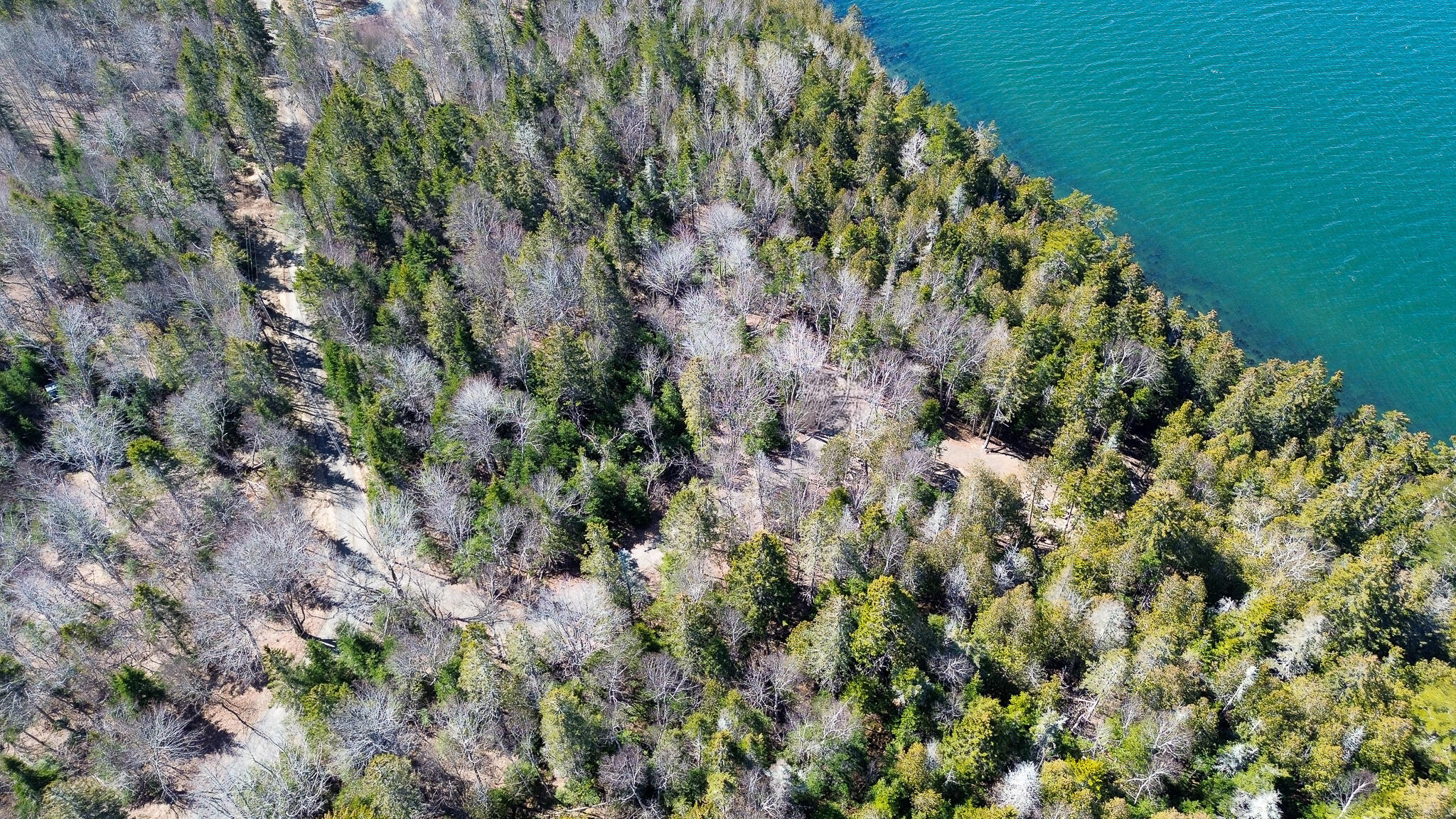 9 Raft Cove Road Trescott Twp ME 04652