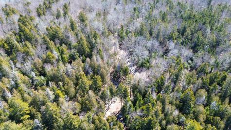 9 Raft Cove Road Trescott Twp ME 04652