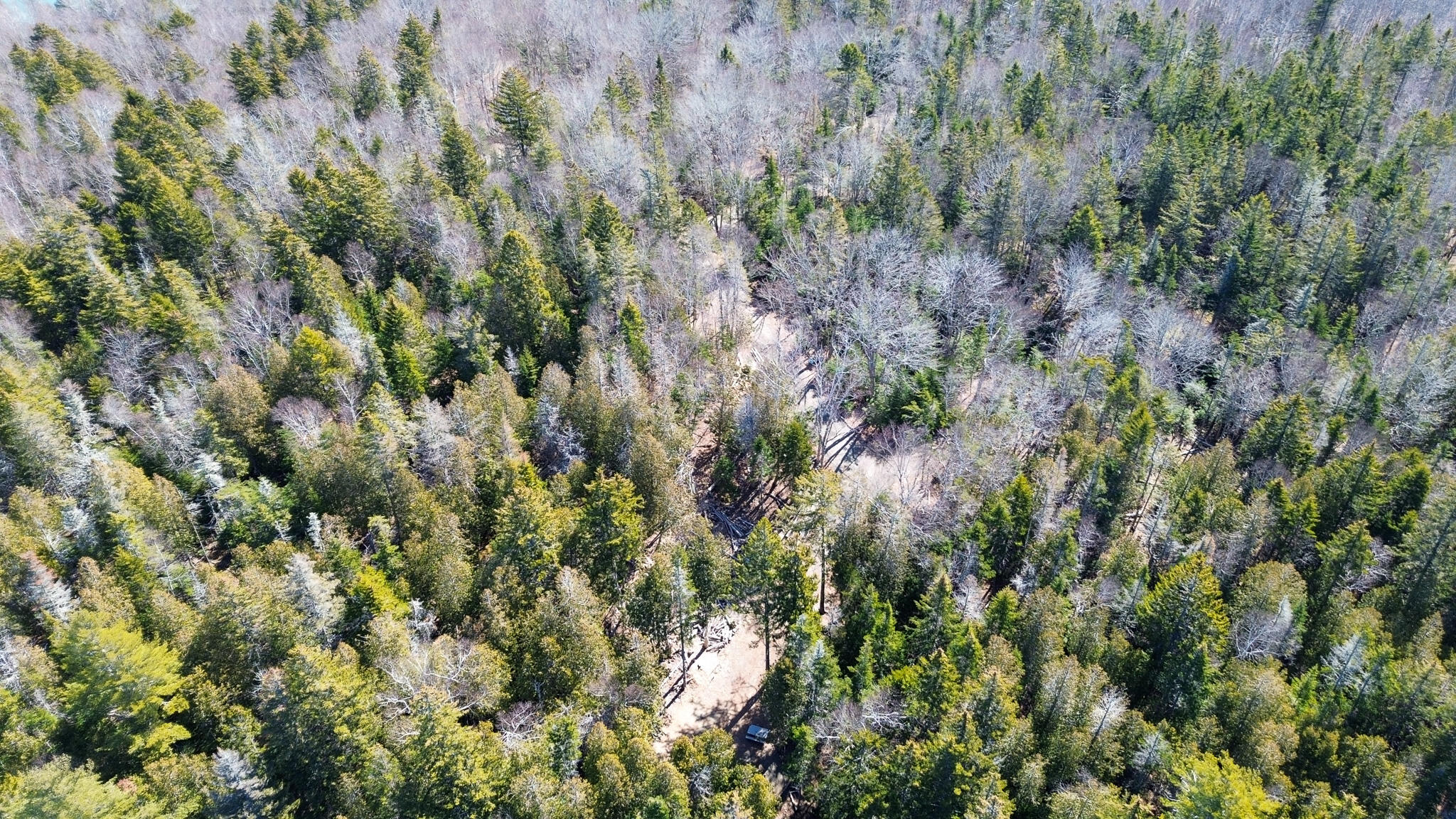 9 Raft Cove Road Trescott Twp ME 04652