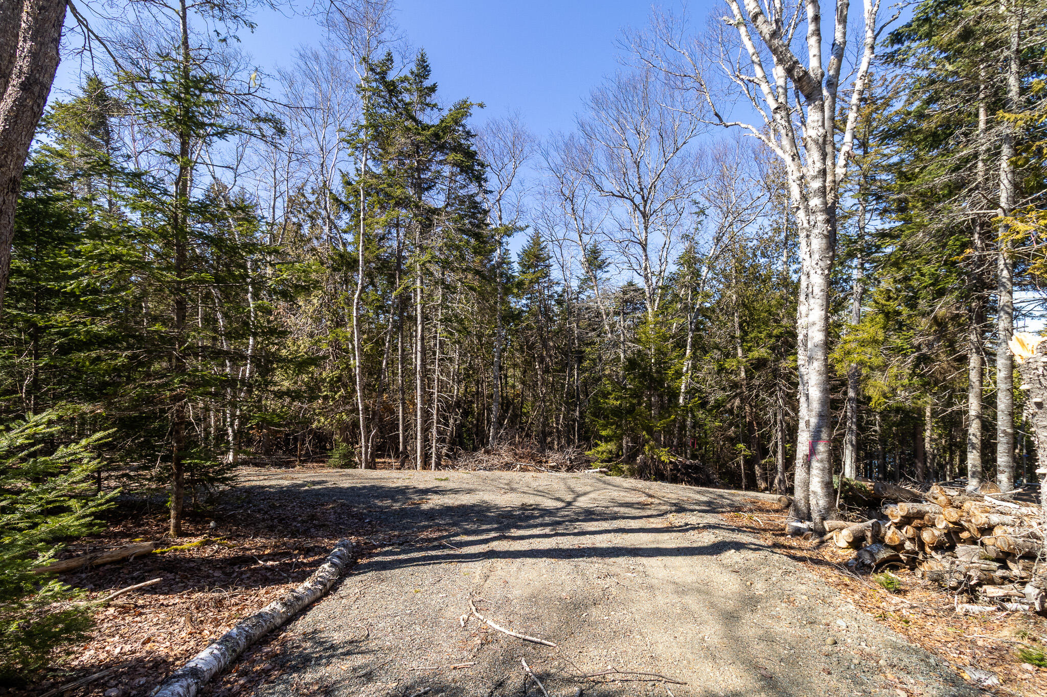 9 Raft Cove Road Trescott Twp ME 04652