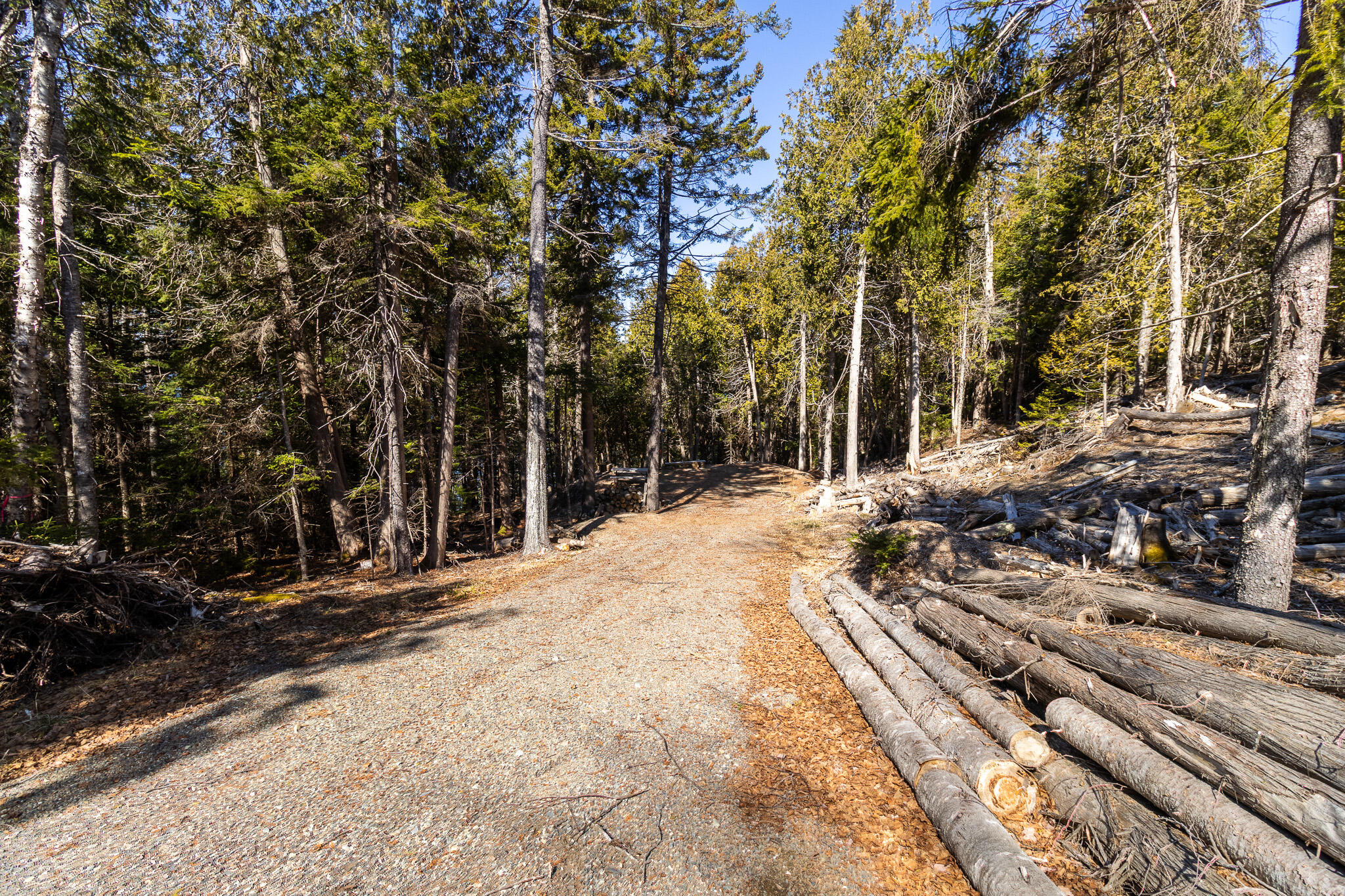 9 Raft Cove Road Trescott Twp ME 04652