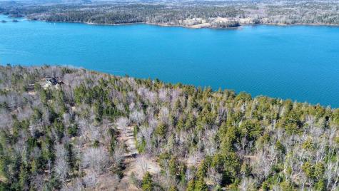 9 Raft Cove Road Trescott Twp ME 04652