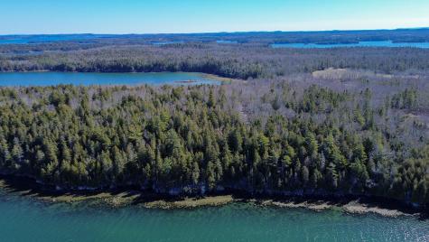 9 Raft Cove Road Trescott Twp ME 04652