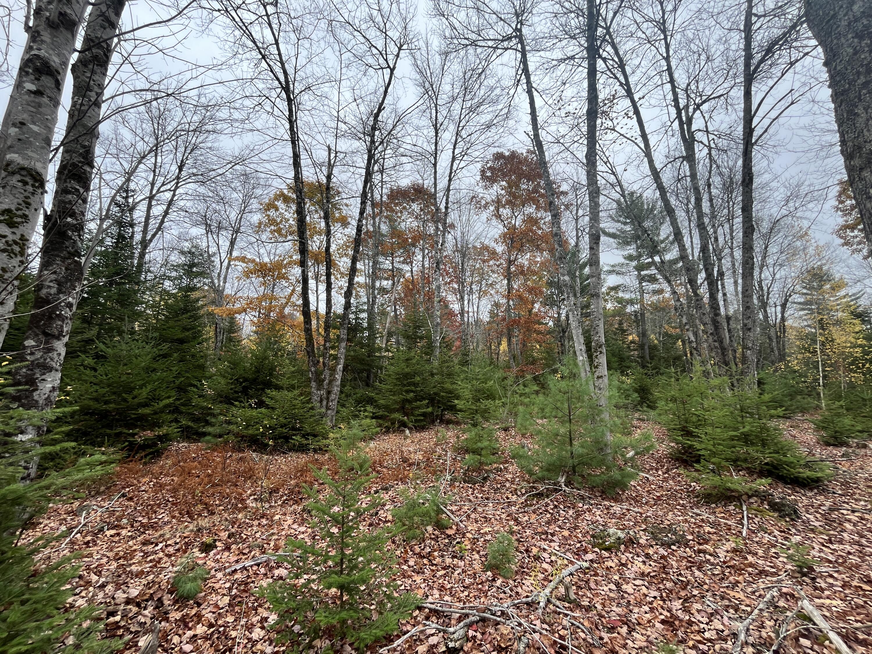 00 North Street Ellsworth ME 04605