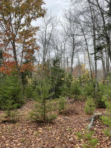 00 North Street Ellsworth ME 04605