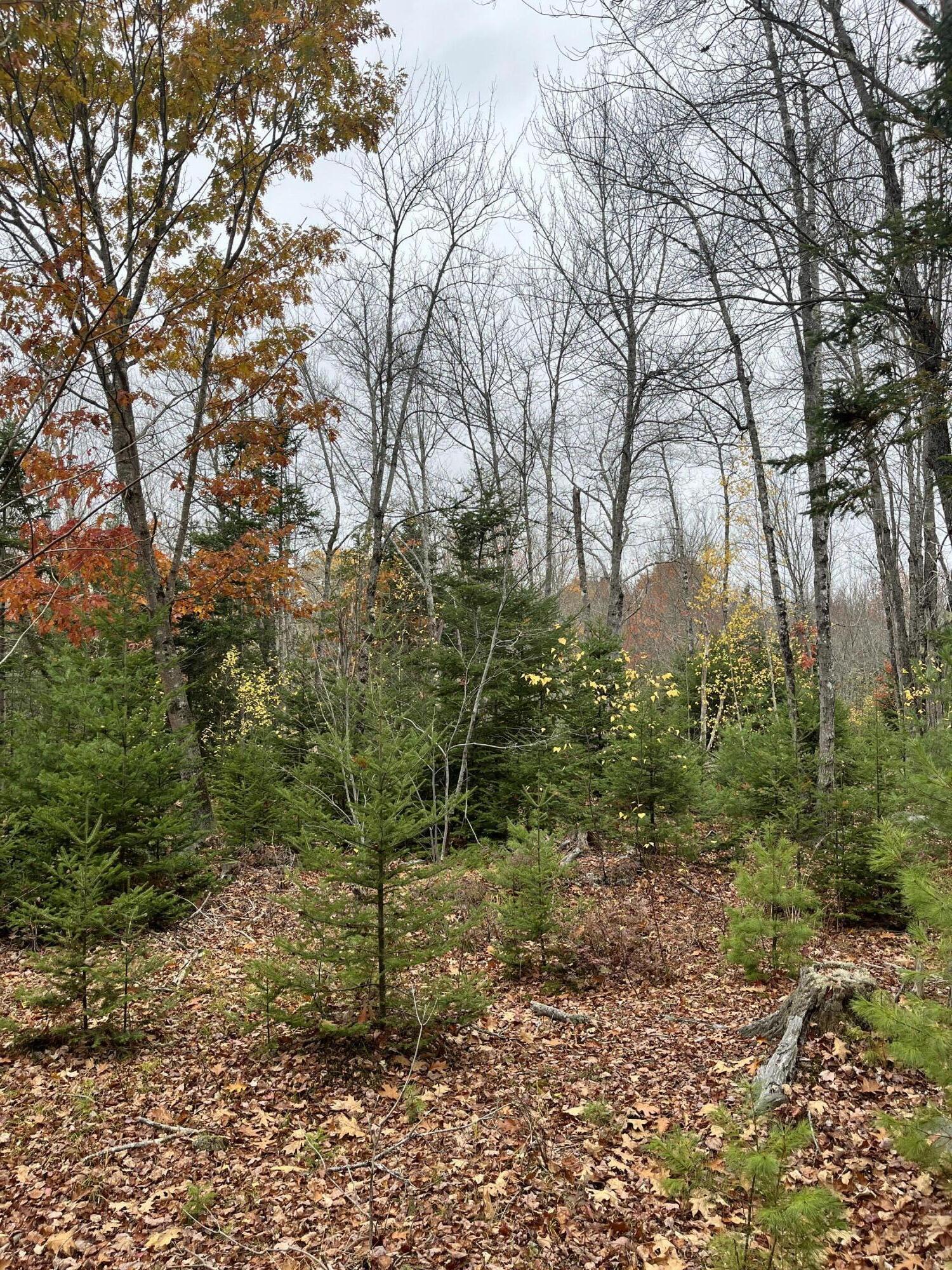 00 North Street Ellsworth ME 04605