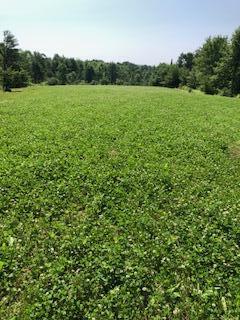Lot # 10 Pittston Road (route 194) Road Whitefield ME 04353