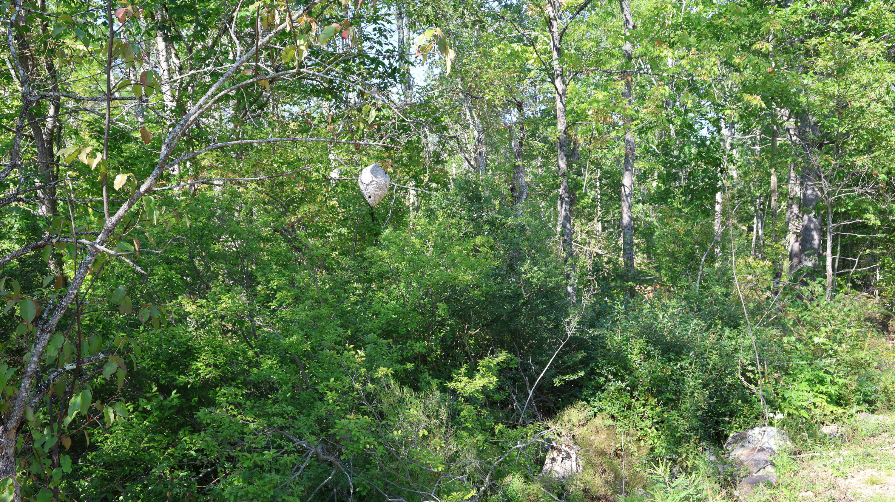 Lot # 10 Pittston Road (route 194) Road Whitefield ME 04353