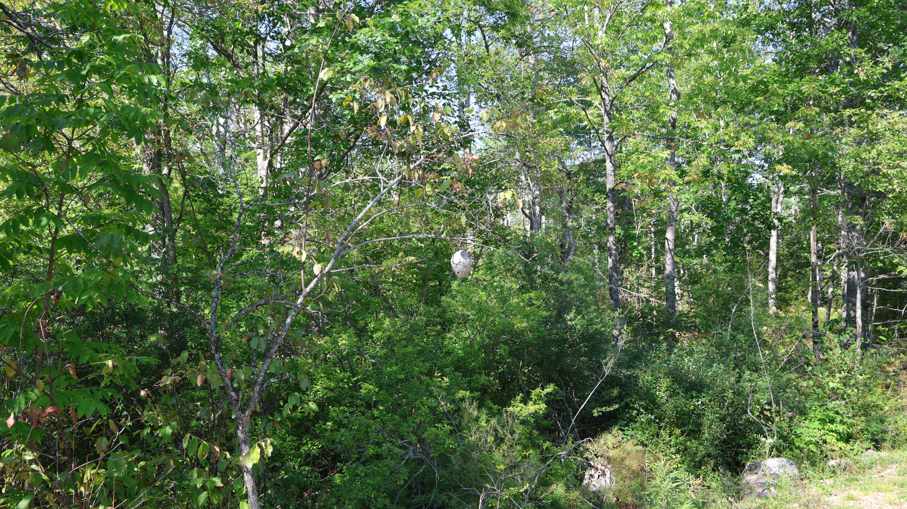 Lot # 10 Pittston Road (route 194) Road Whitefield ME 04353