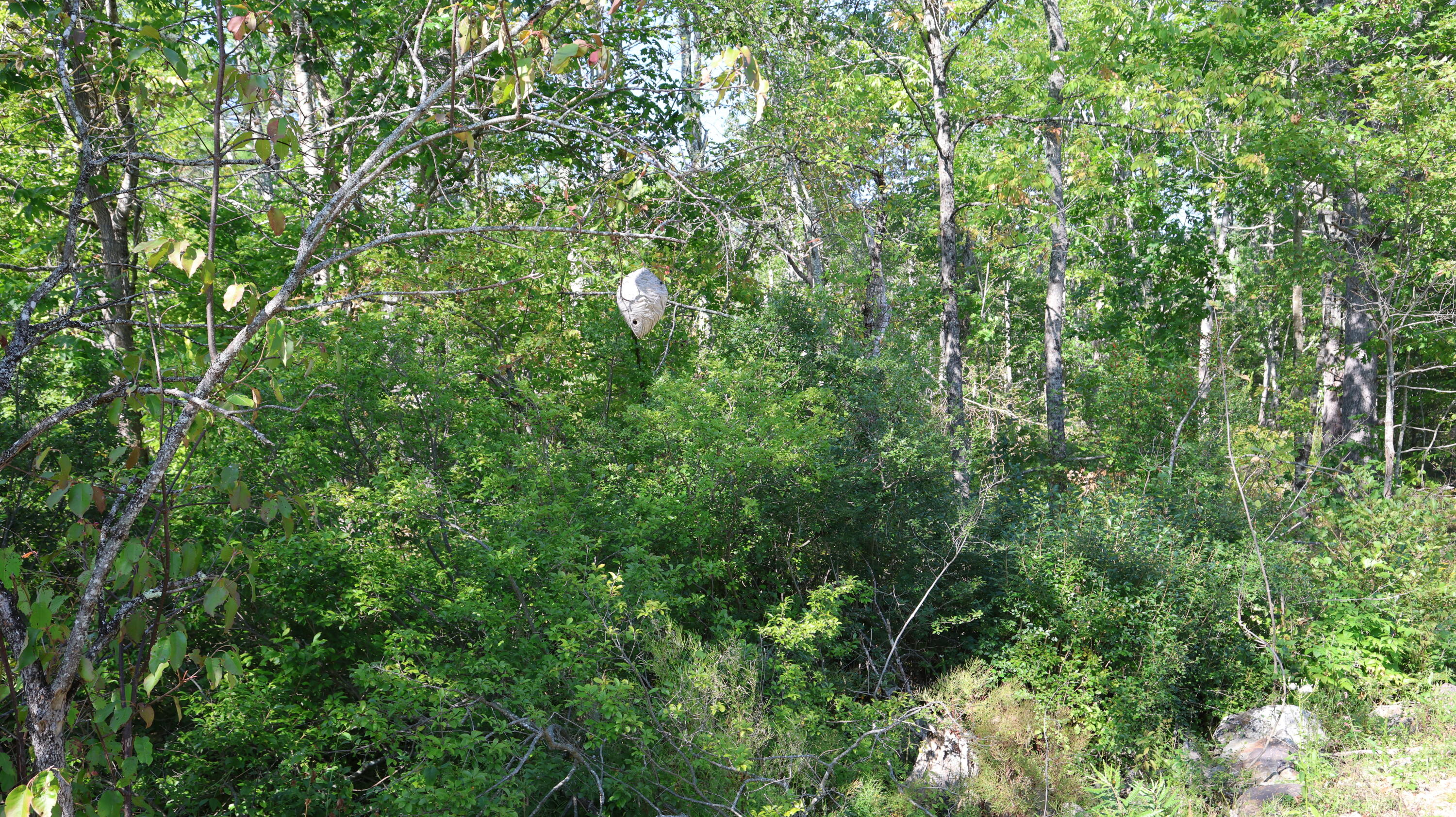 Lot # 10 Pittston Road (route 194) Road Whitefield ME 04353