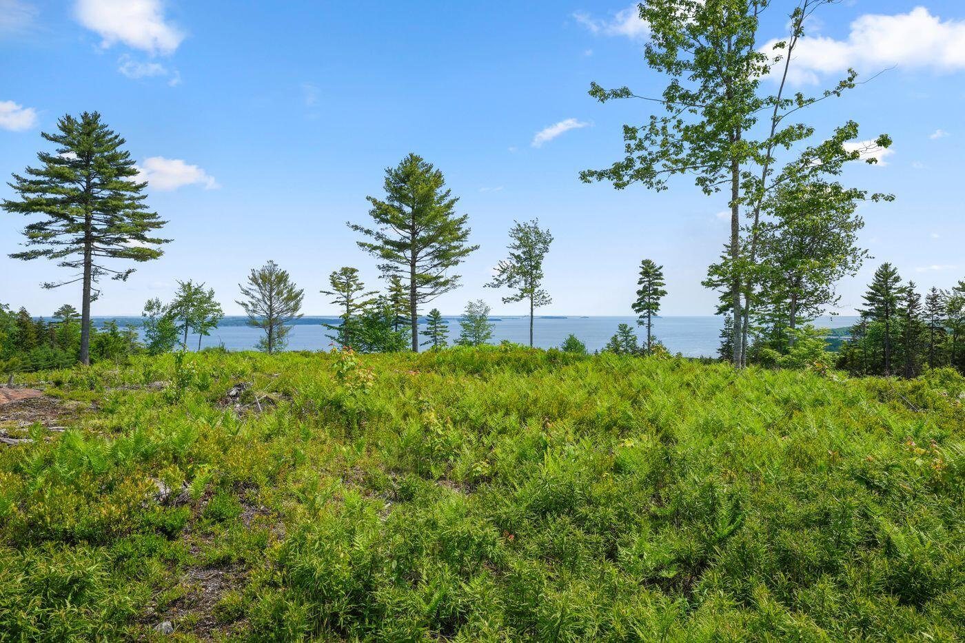 Lot 50-2 Serene Drive Northport ME 04849