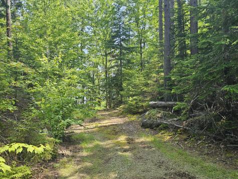 M26L11.2 Boulder Road Danforth ME 04424