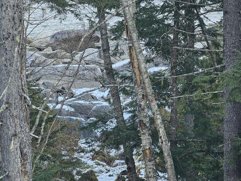 M26L11.2 Boulder Road Danforth ME 04424