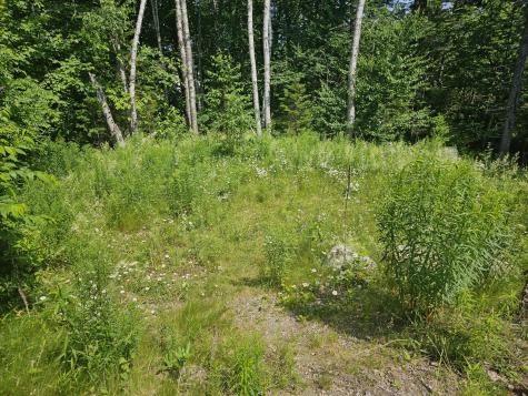 M26L11.2 Boulder Road Danforth ME 04424