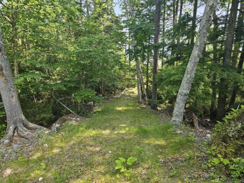 M26L11.2 Boulder Road Danforth ME 04424