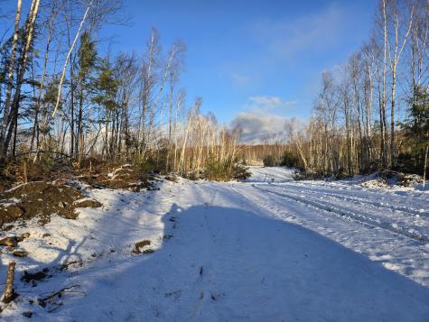 Lot 6s Treadwell Hill Road Springfield ME 04487