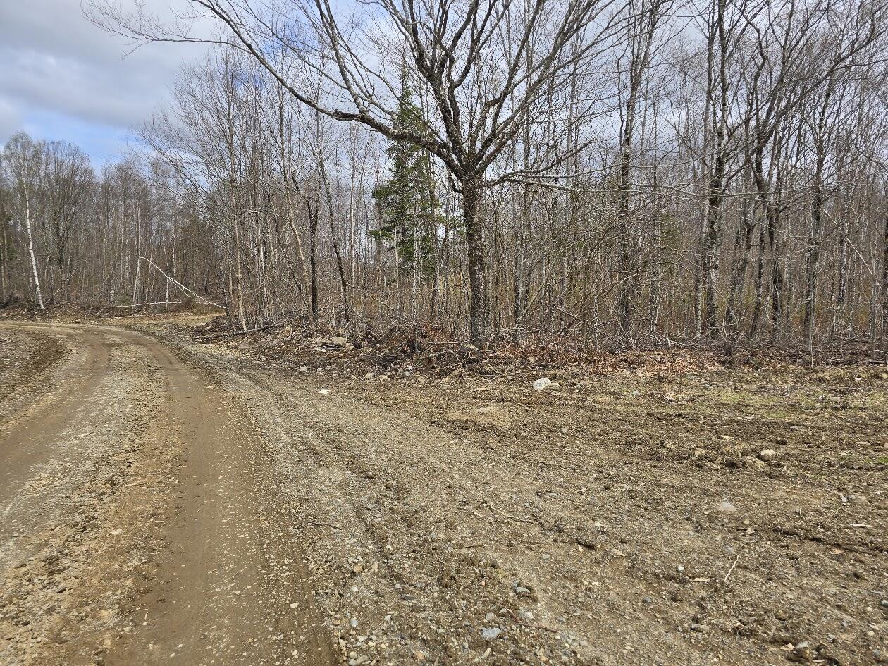 Lot 6s Treadwell Hill Road Springfield ME 04487