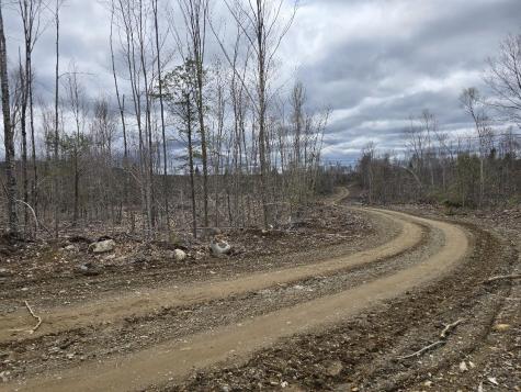 Lot 6s Treadwell Hill Road Springfield ME 04487