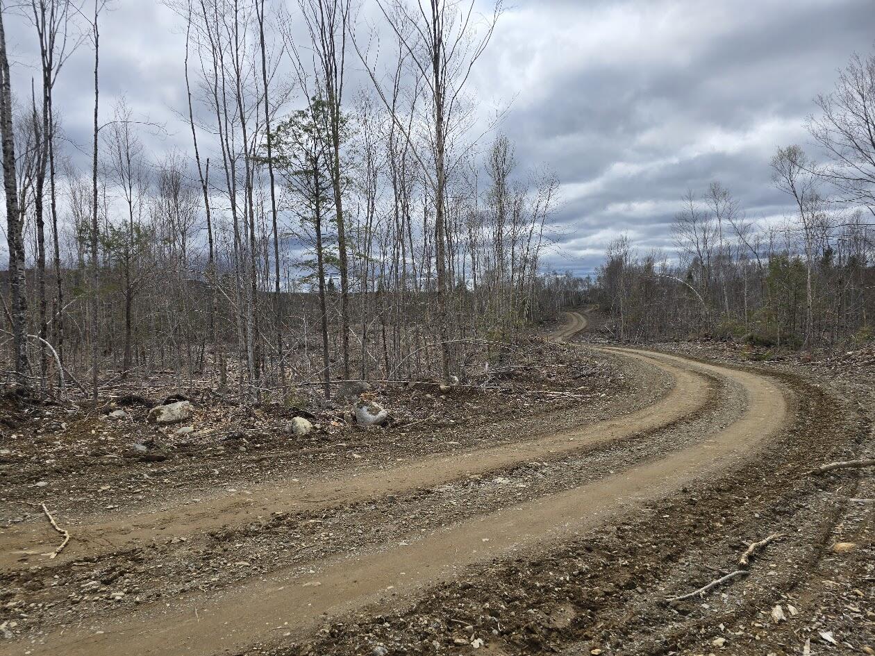 Lot 6s Treadwell Hill Road Springfield ME 04487