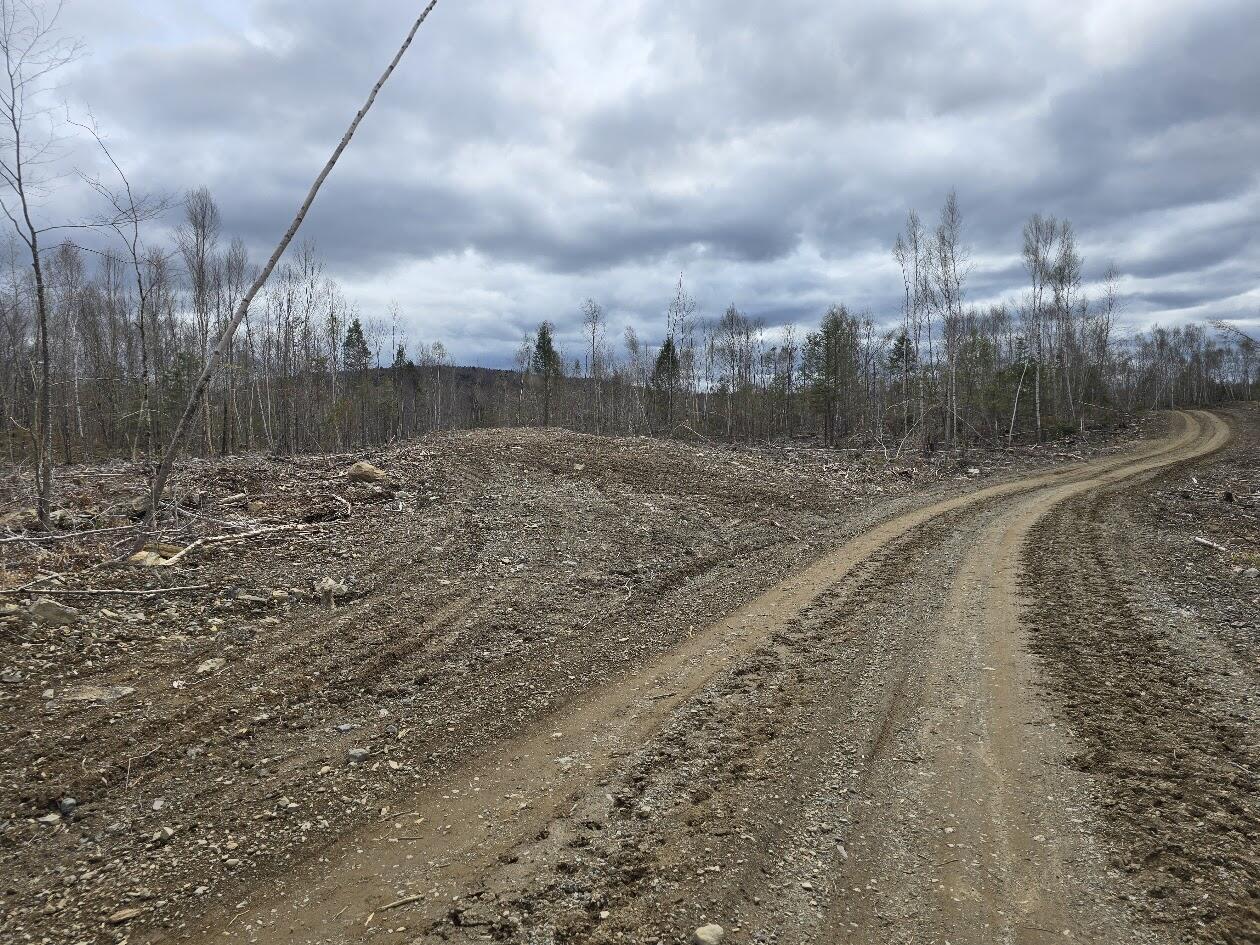 Lot 6s Treadwell Hill Road Springfield ME 04487