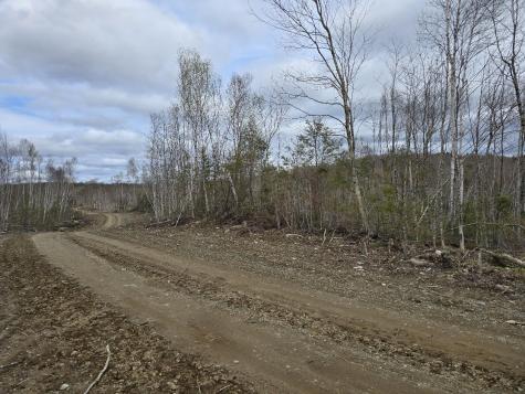 Lot 6s Treadwell Hill Road Springfield ME 04487