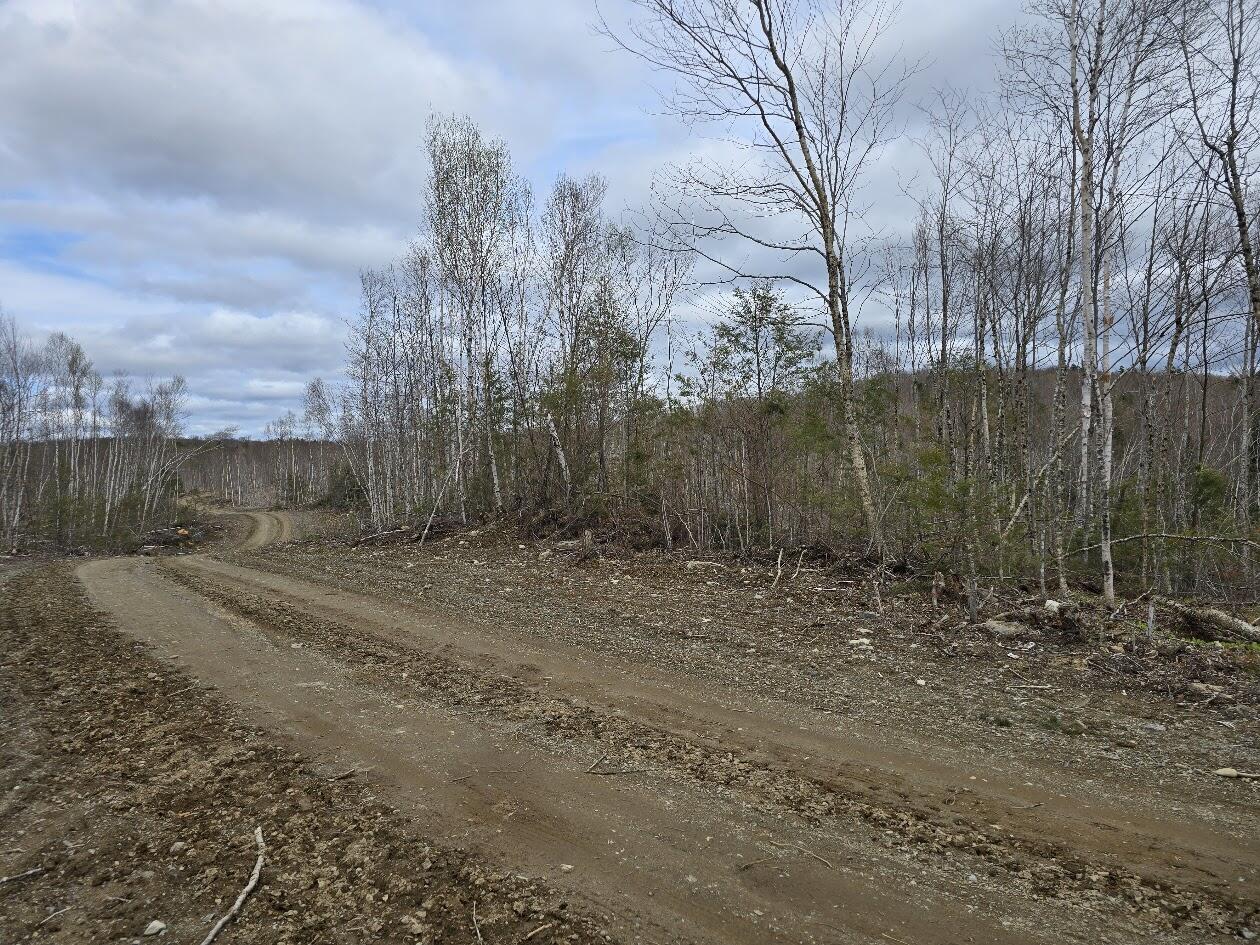 Lot 6s Treadwell Hill Road Springfield ME 04487