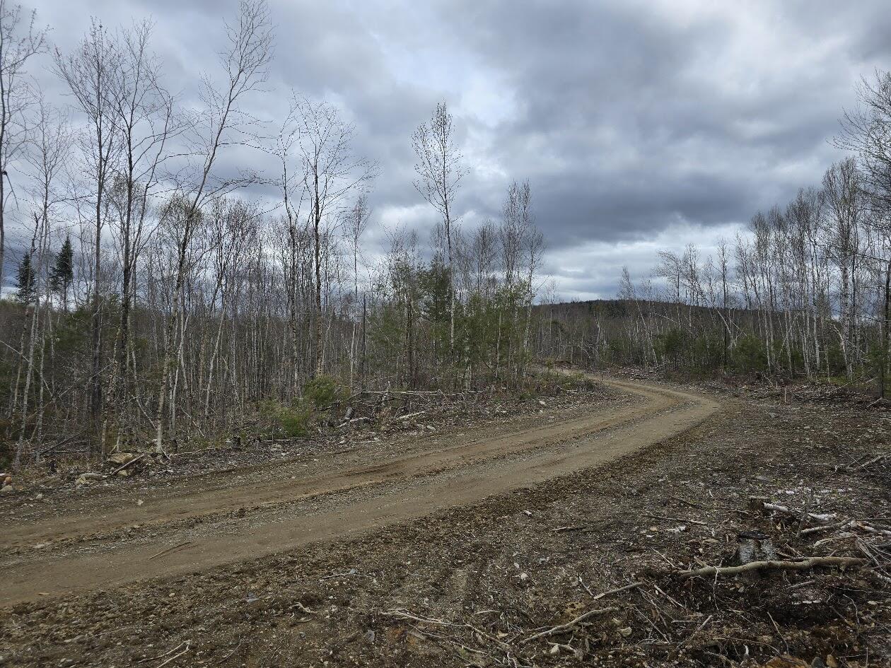 Lot 6s Treadwell Hill Road Springfield ME 04487